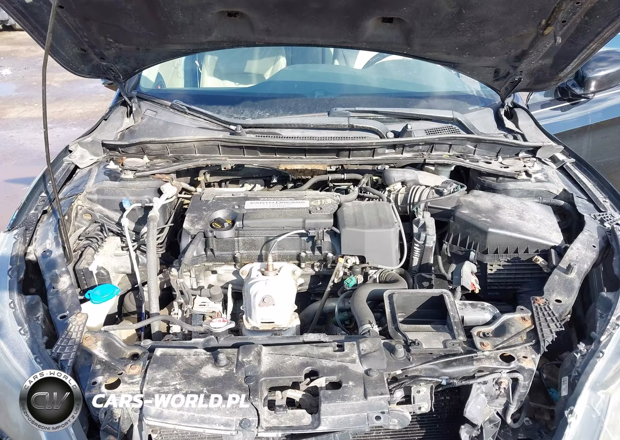 2014 Honda Accord Ex-L VIN:1HGCR2F84EA007628 - 10