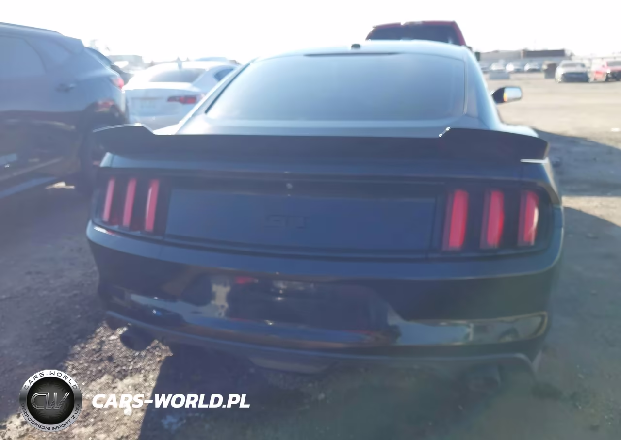 2016 Ford Mustang Gt Premium VIN:1FA6P8CF9G5262090 - 16