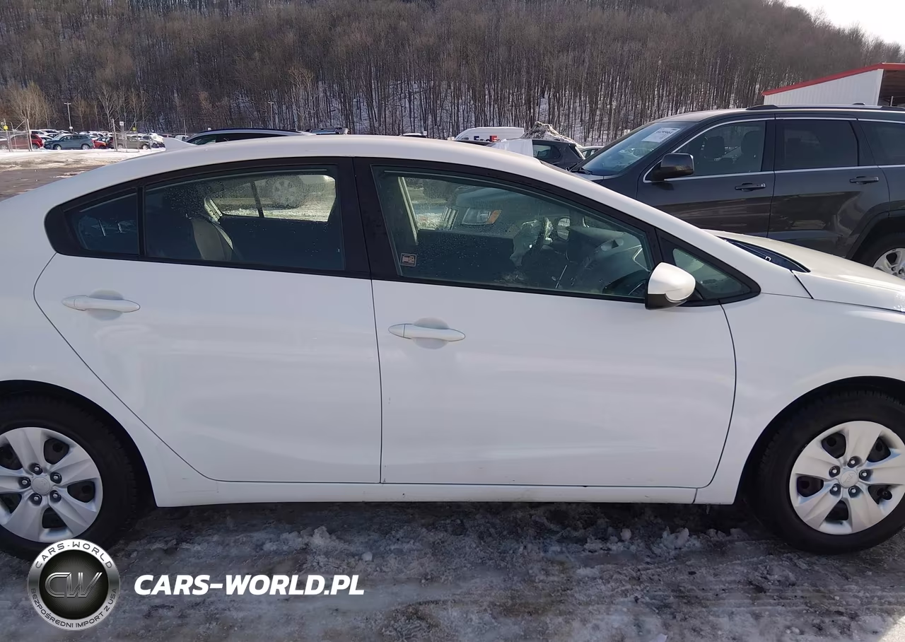 2018 Kia Forte Lx VIN:3KPFK4A72JE282397 - 13