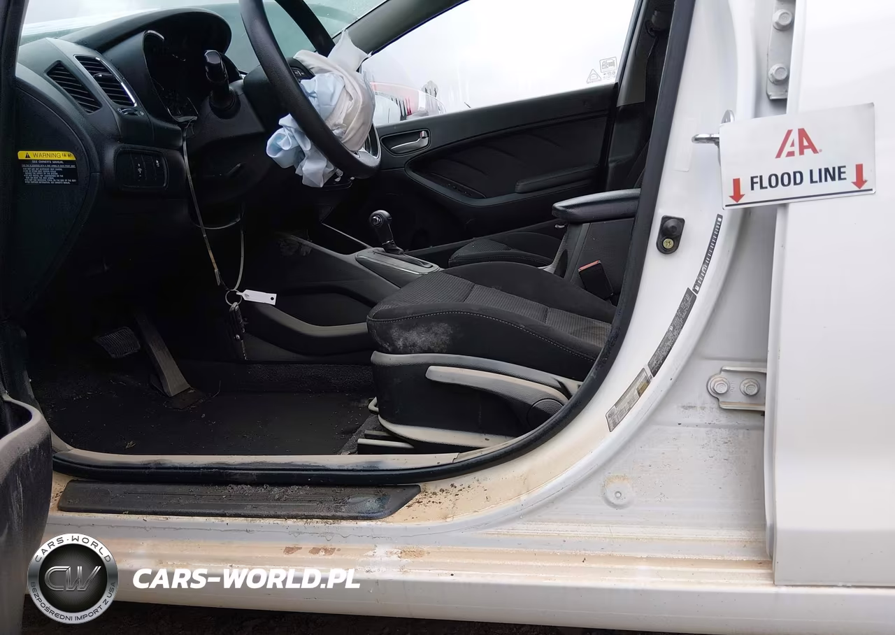 2018 Kia Forte Lx VIN:3KPFK4A72JE282397 - 17