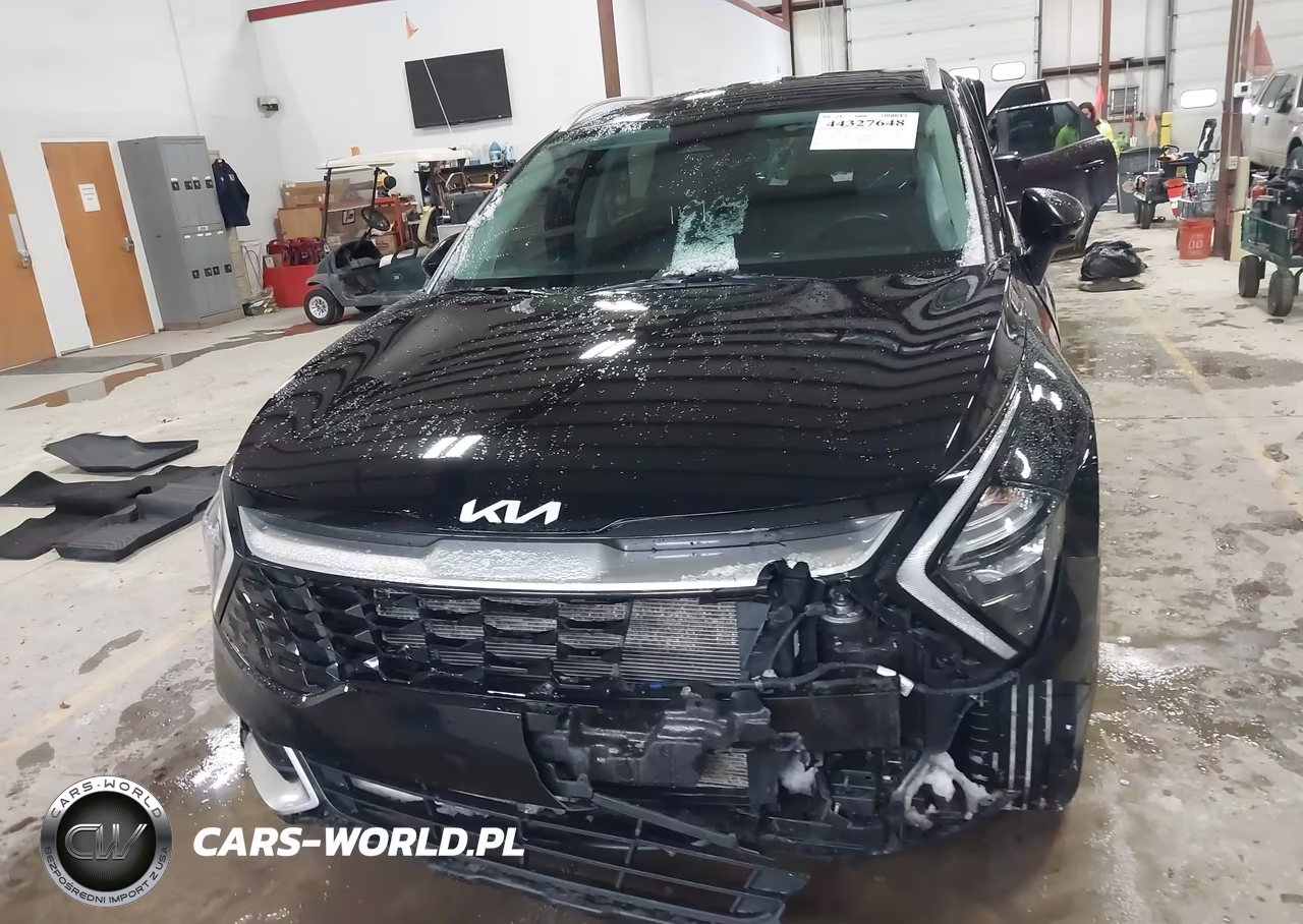 2023 Kia Sportage Ex VIN:5XYK3CAF4PG013133 - 12