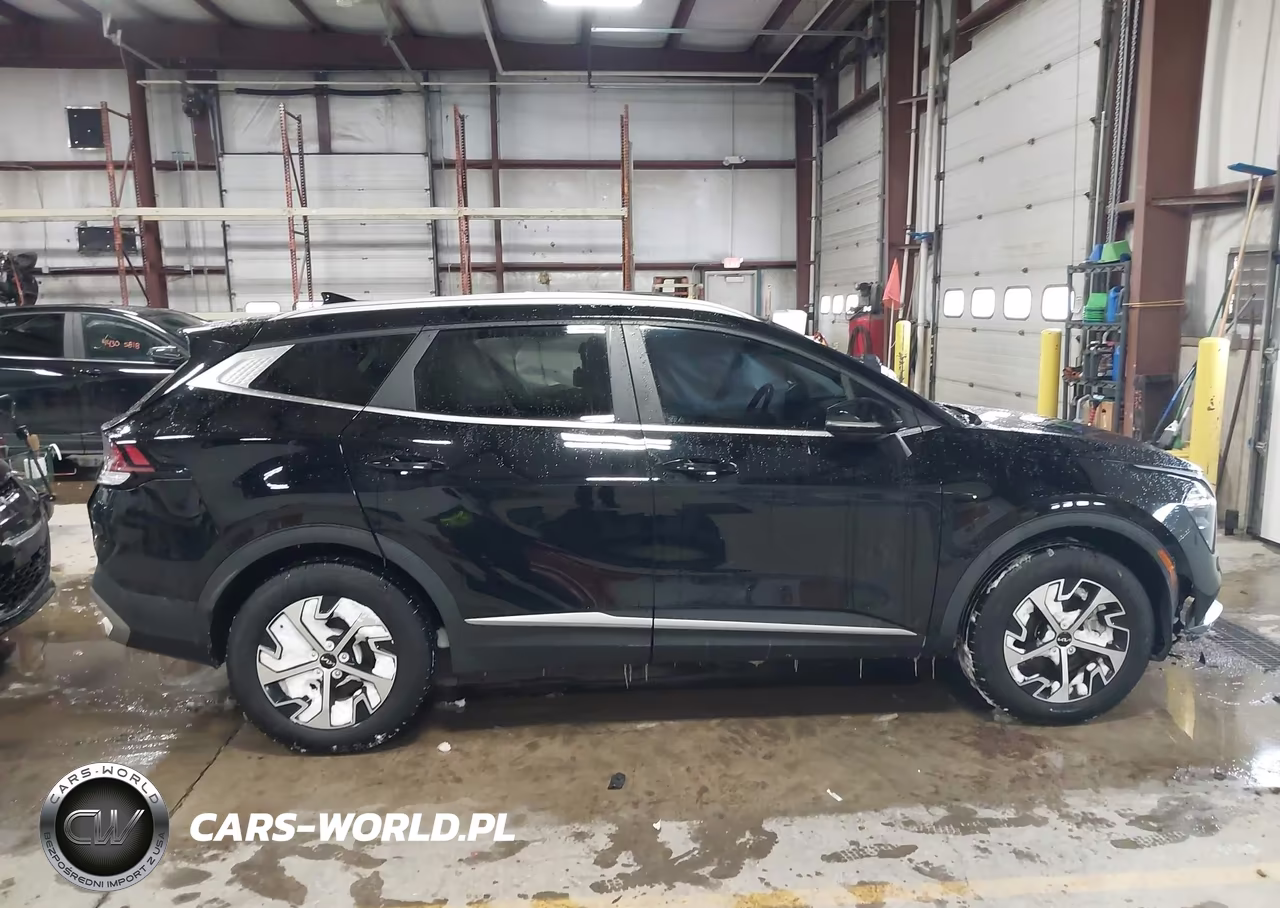 2023 Kia Sportage Ex VIN:5XYK3CAF4PG013133 - 13