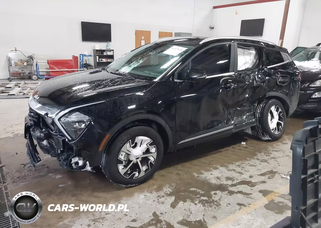 2023 Kia Sportage Ex VIN:5XYK3CAF4PG013133 - 2