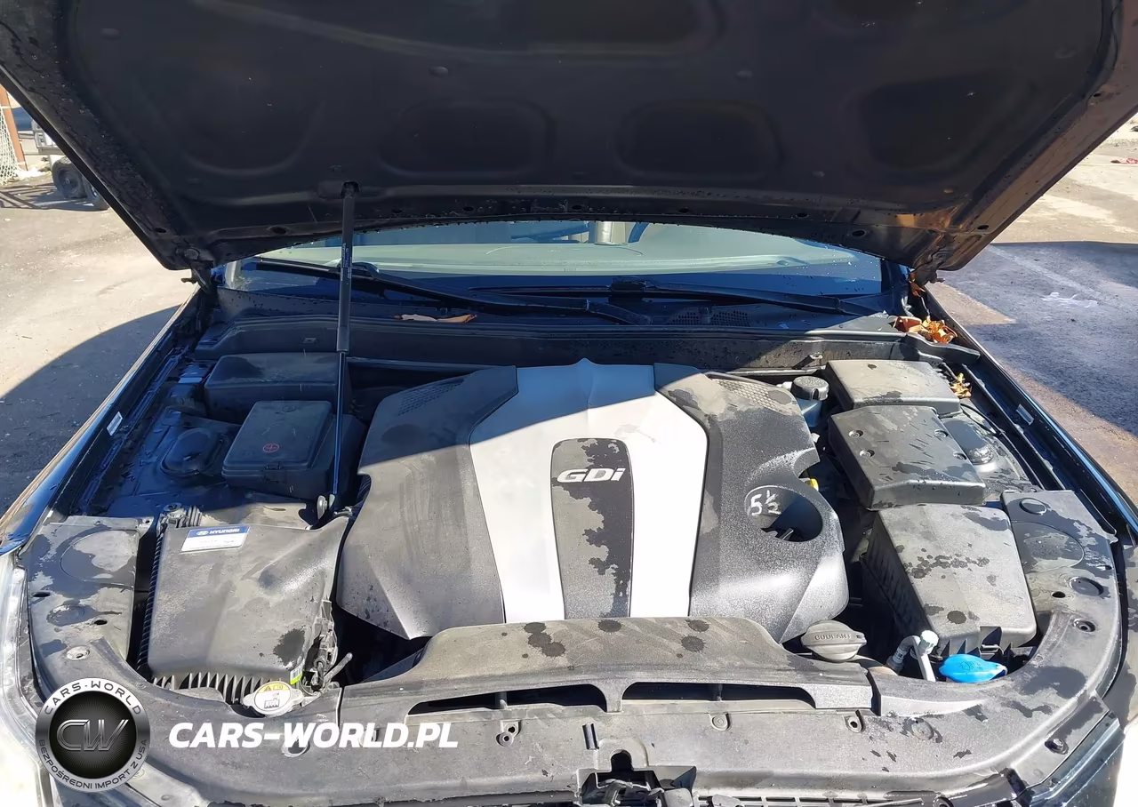 2013 Hyundai Genesis 3.8 VIN:KMHGC4DD5DU247700 - 10