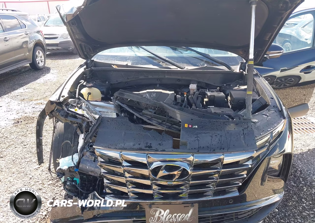2023 Hyundai Tucson Limited VIN:5NMJECAE2PH200826 - 10