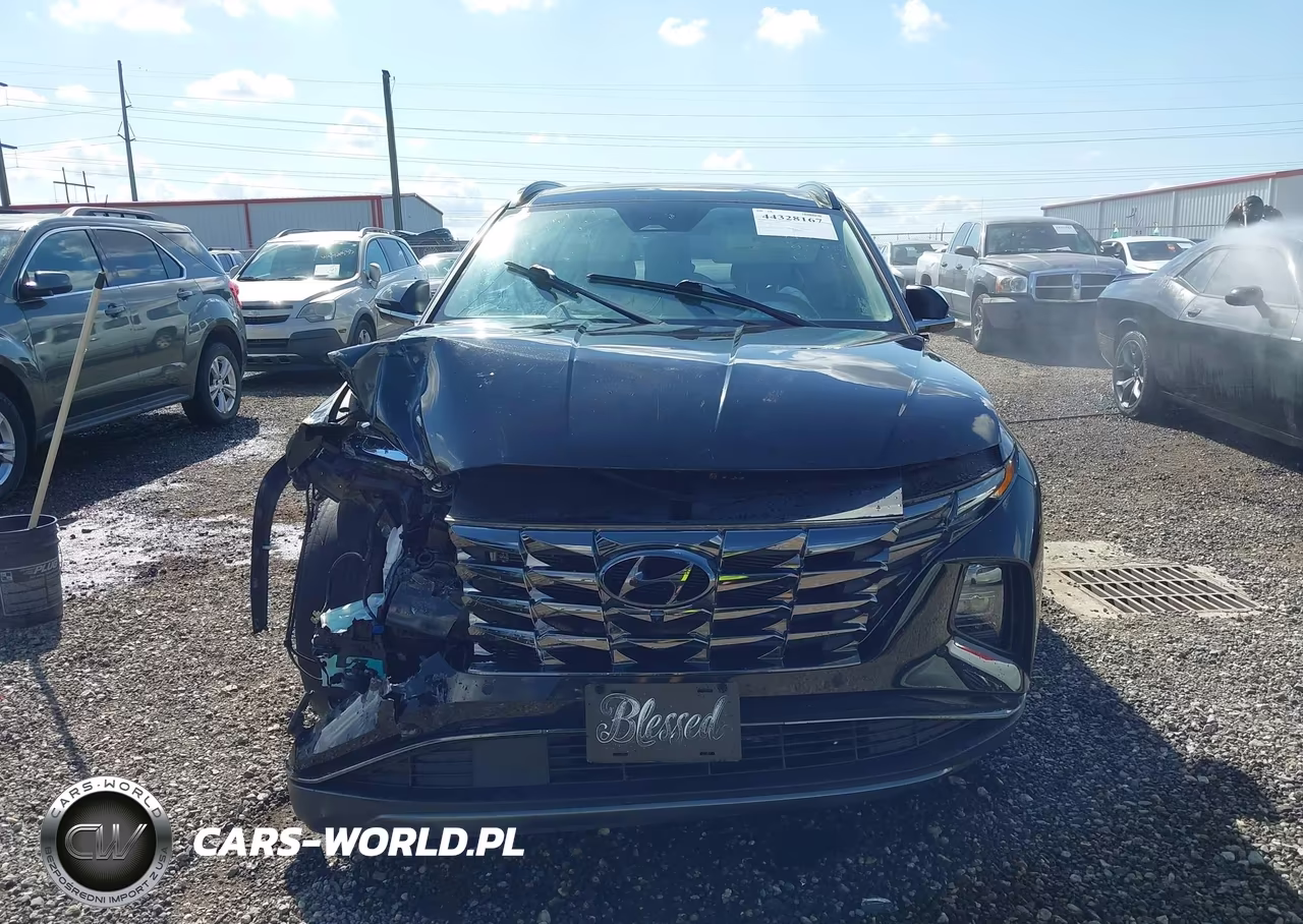 2023 Hyundai Tucson Limited VIN:5NMJECAE2PH200826 - 12