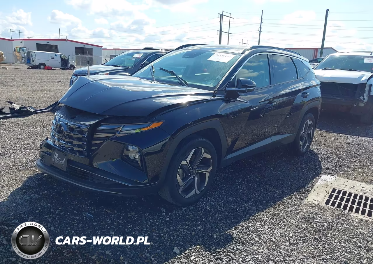 2023 Hyundai Tucson Limited VIN:5NMJECAE2PH200826 - 2