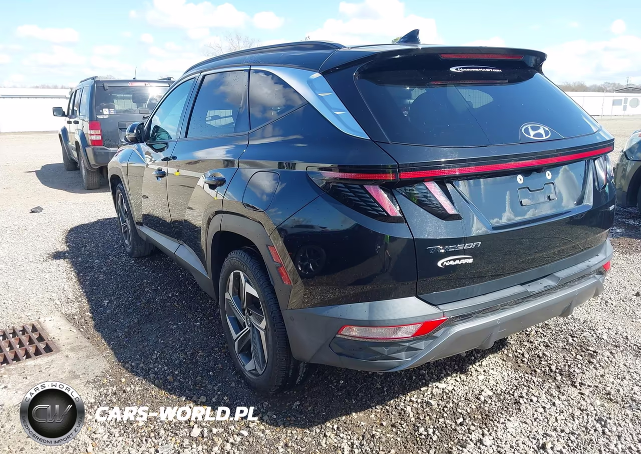 2023 Hyundai Tucson Limited VIN:5NMJECAE2PH200826 - 3