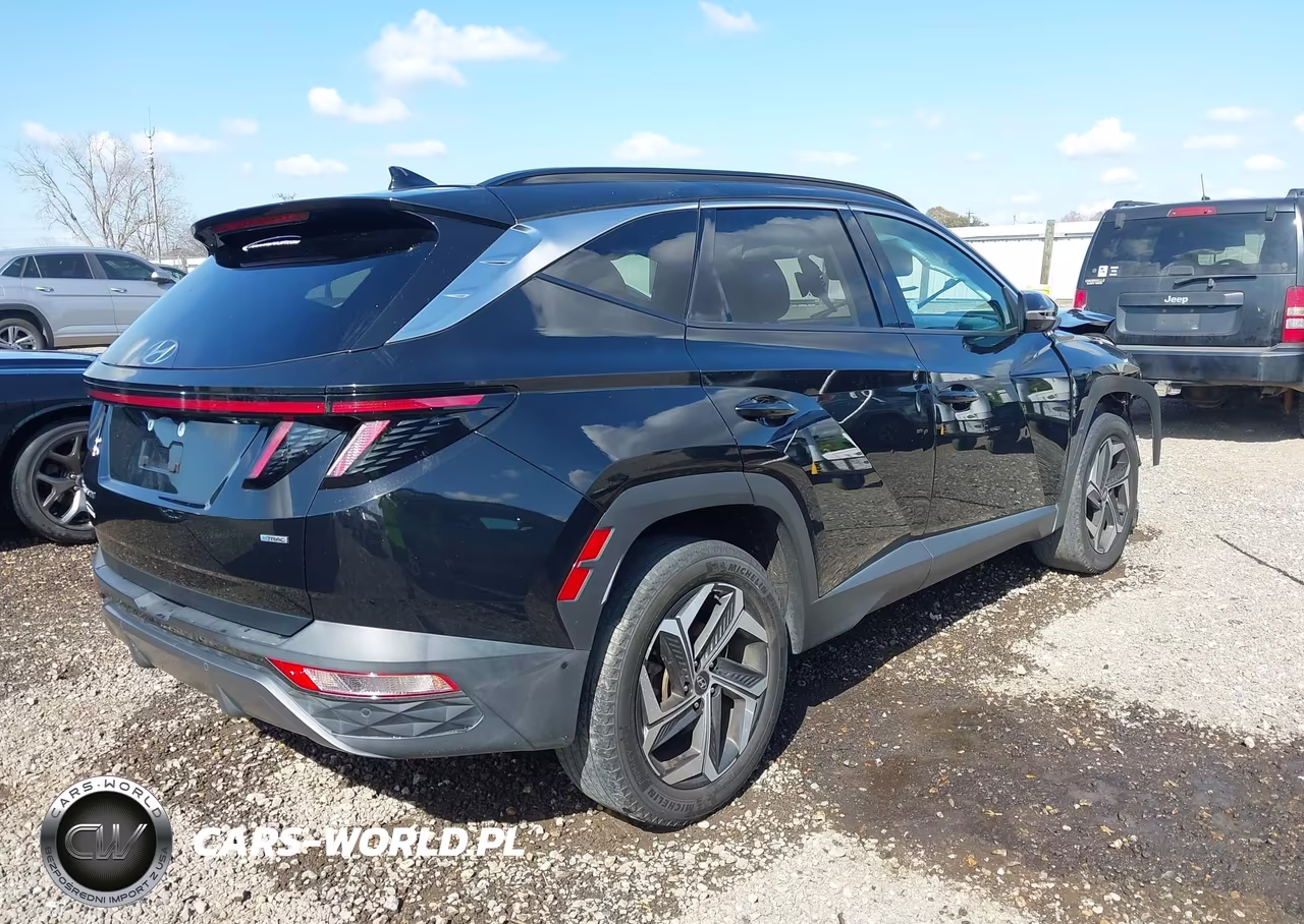 2023 Hyundai Tucson Limited VIN:5NMJECAE2PH200826 - 4