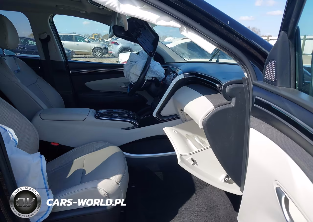 2023 Hyundai Tucson Limited VIN:5NMJECAE2PH200826 - 5