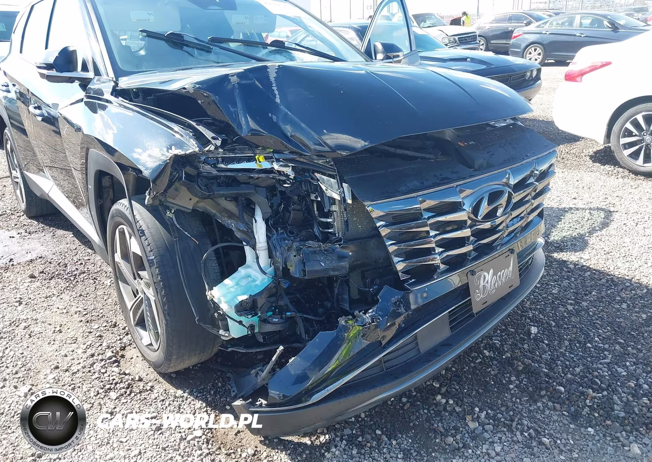 2023 Hyundai Tucson Limited VIN:5NMJECAE2PH200826 - 6