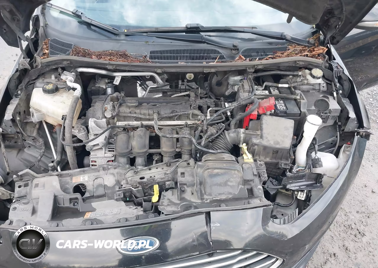 2015 Ford Fiesta Se VIN:3FADP4BJ4FM126156 - 10