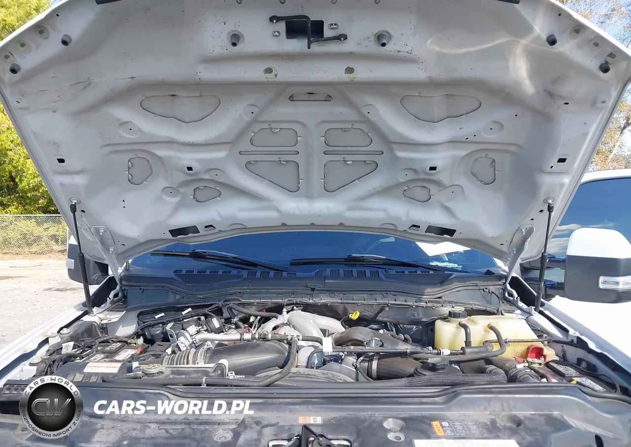 2022 Ford F-450 Limited VIN:1FT8W4DT4NED70066 - 9