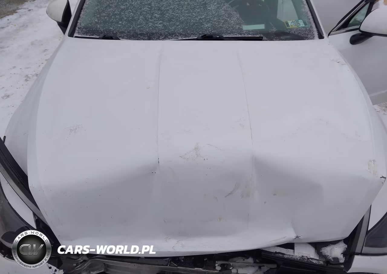 2021 Hyundai Sonata Limited VIN:5NPEH4J20MH095223 - 10