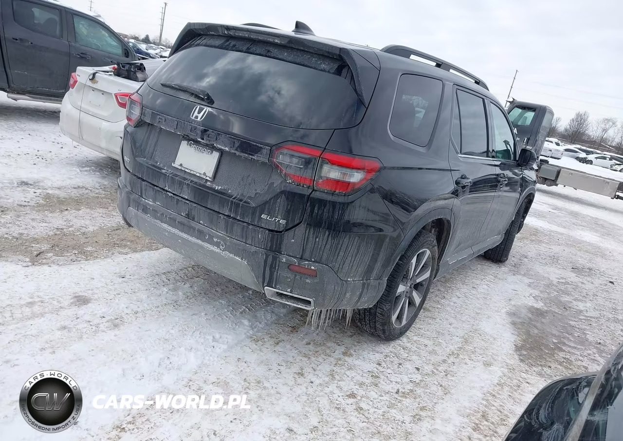 2023 Honda Pilot Awd Elite VIN:5FNYG1H89PB009497 - 4