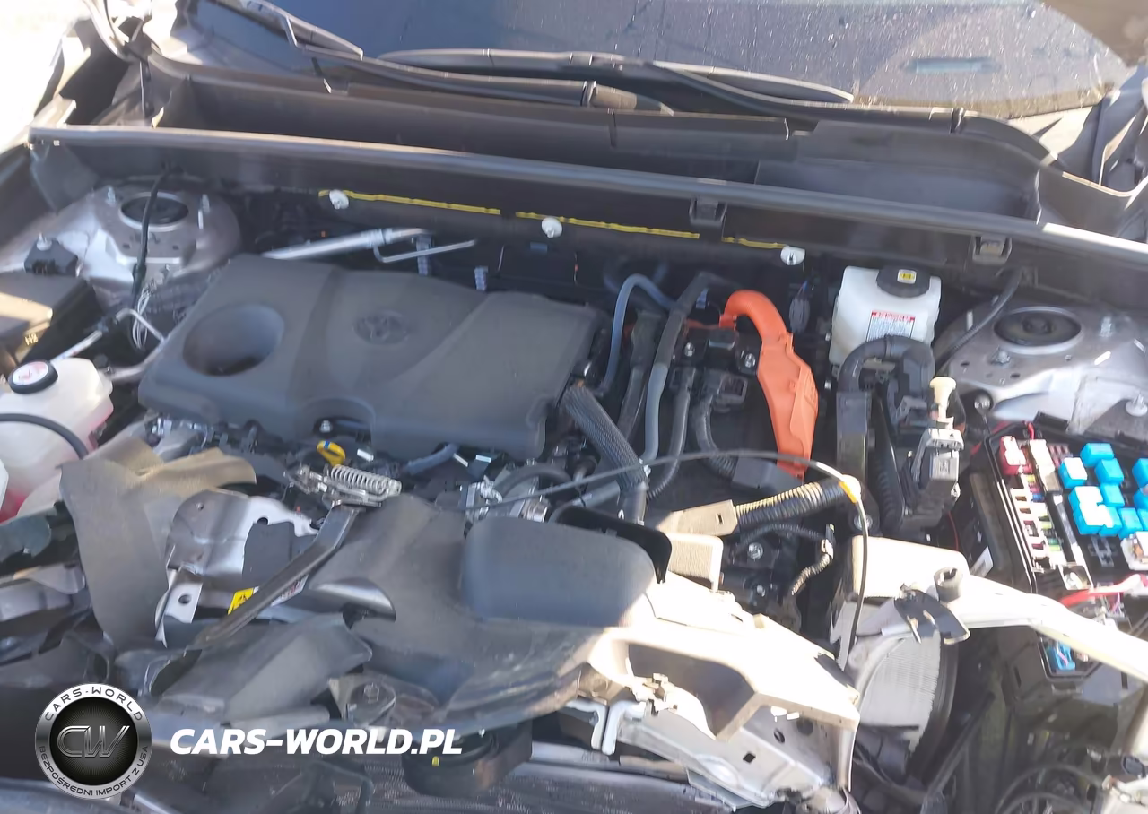 2024 Toyota Venza Xle VIN:JTEAAAAH3RJ189306 - 10