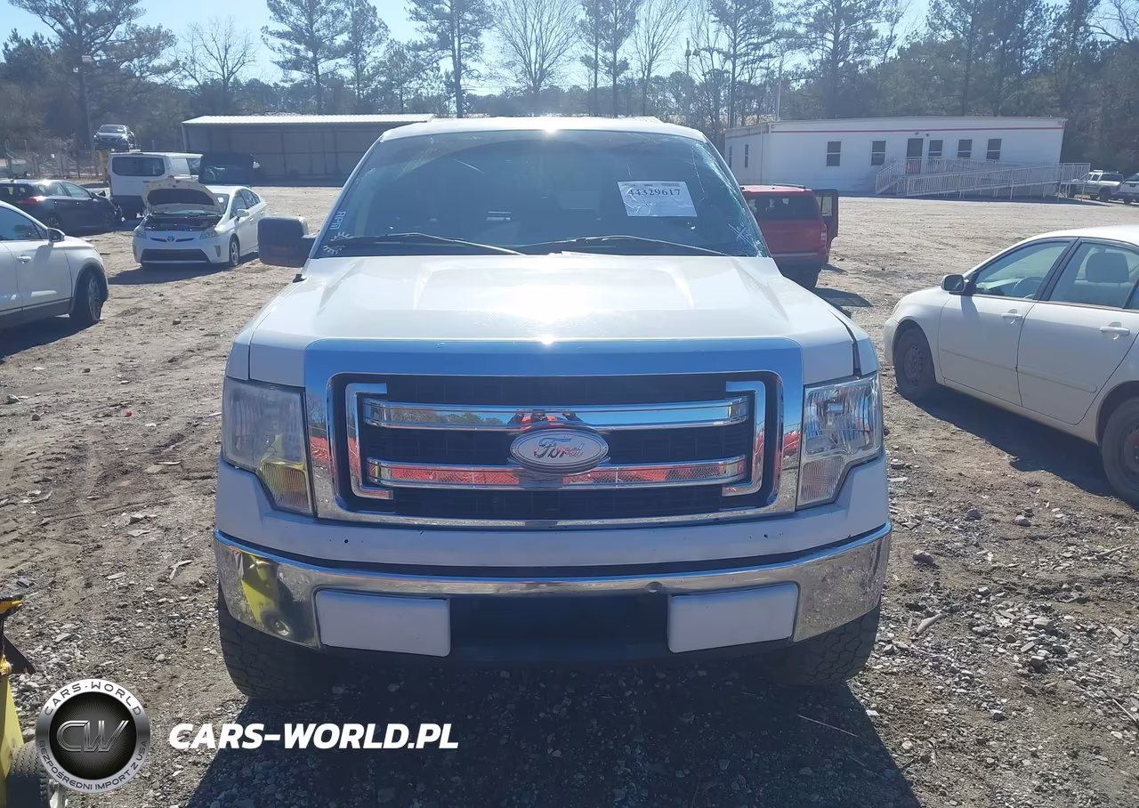 2013 Ford F-150 Xl VIN:1FTFX1CF6DKE40617 - 12