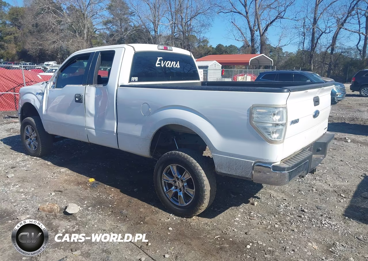 2013 Ford F-150 Xl VIN:1FTFX1CF6DKE40617 - 3