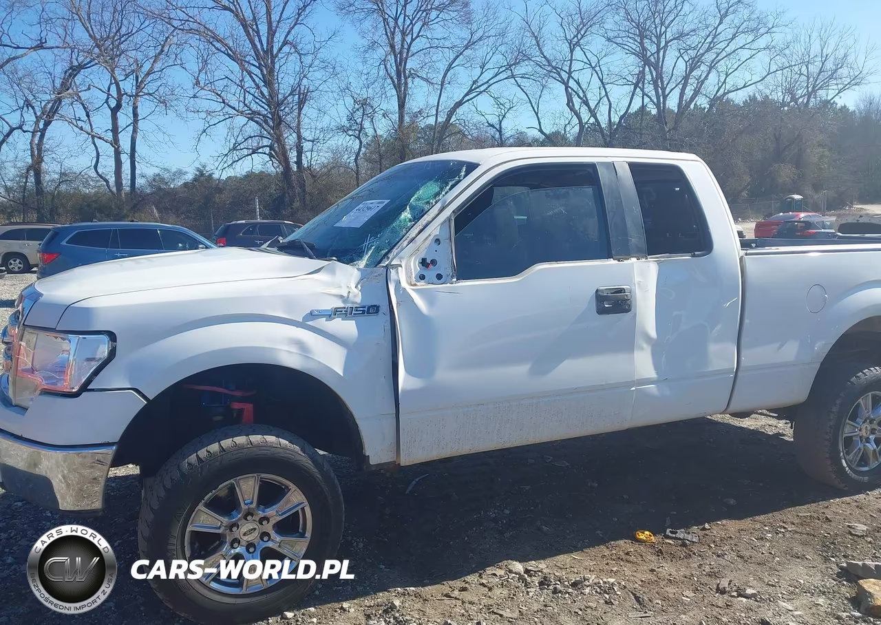 2013 Ford F-150 Xl VIN:1FTFX1CF6DKE40617 - 6
