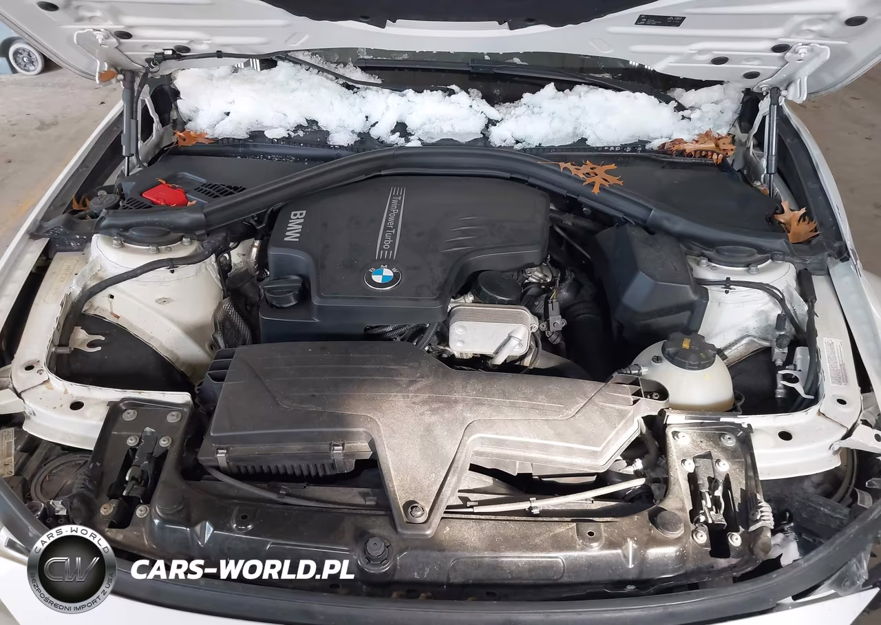 2015 BMW 320I VIN:WBA3B1C55FK141421 - 10
