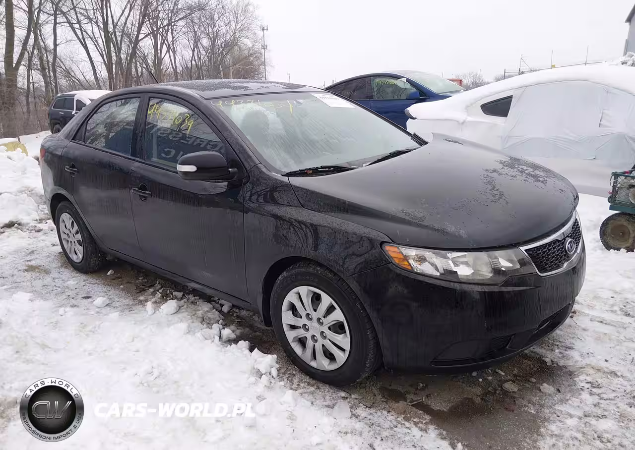 2010 Kia Forte Ex