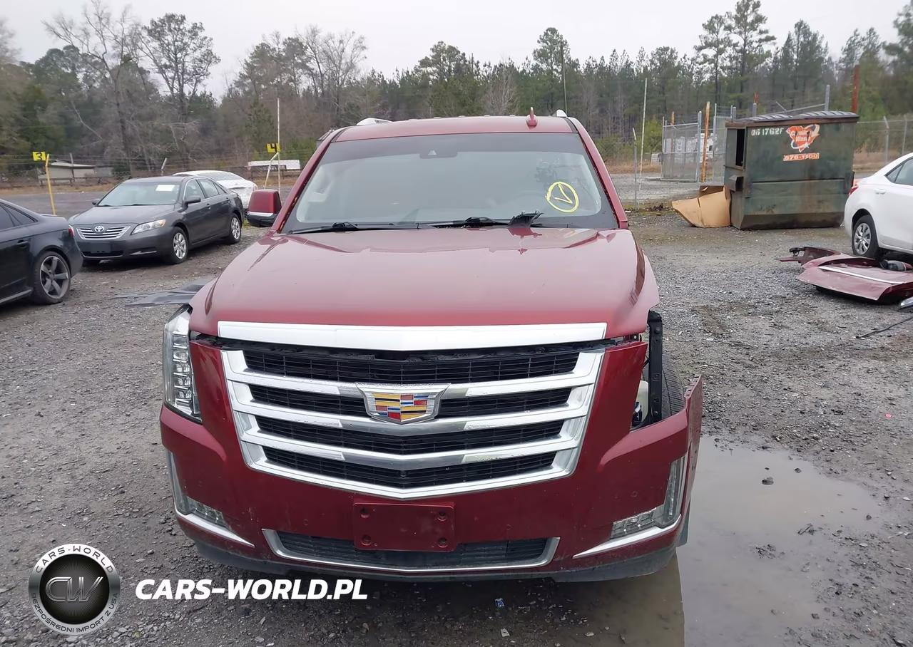2016 Cadillac Escalade Premium Collection VIN:1GYS3CKJ9GR333188 - 12