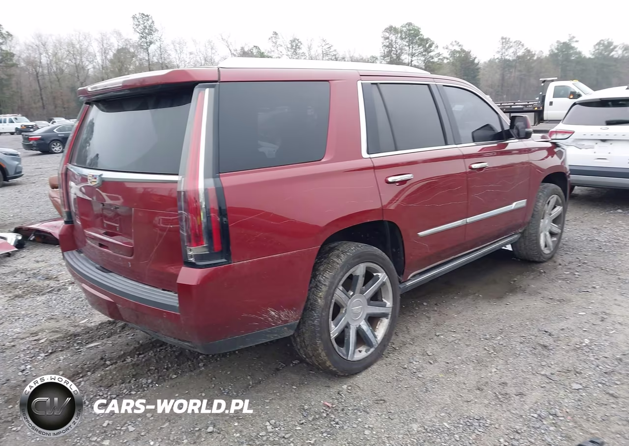 2016 Cadillac Escalade Premium Collection VIN:1GYS3CKJ9GR333188 - 4