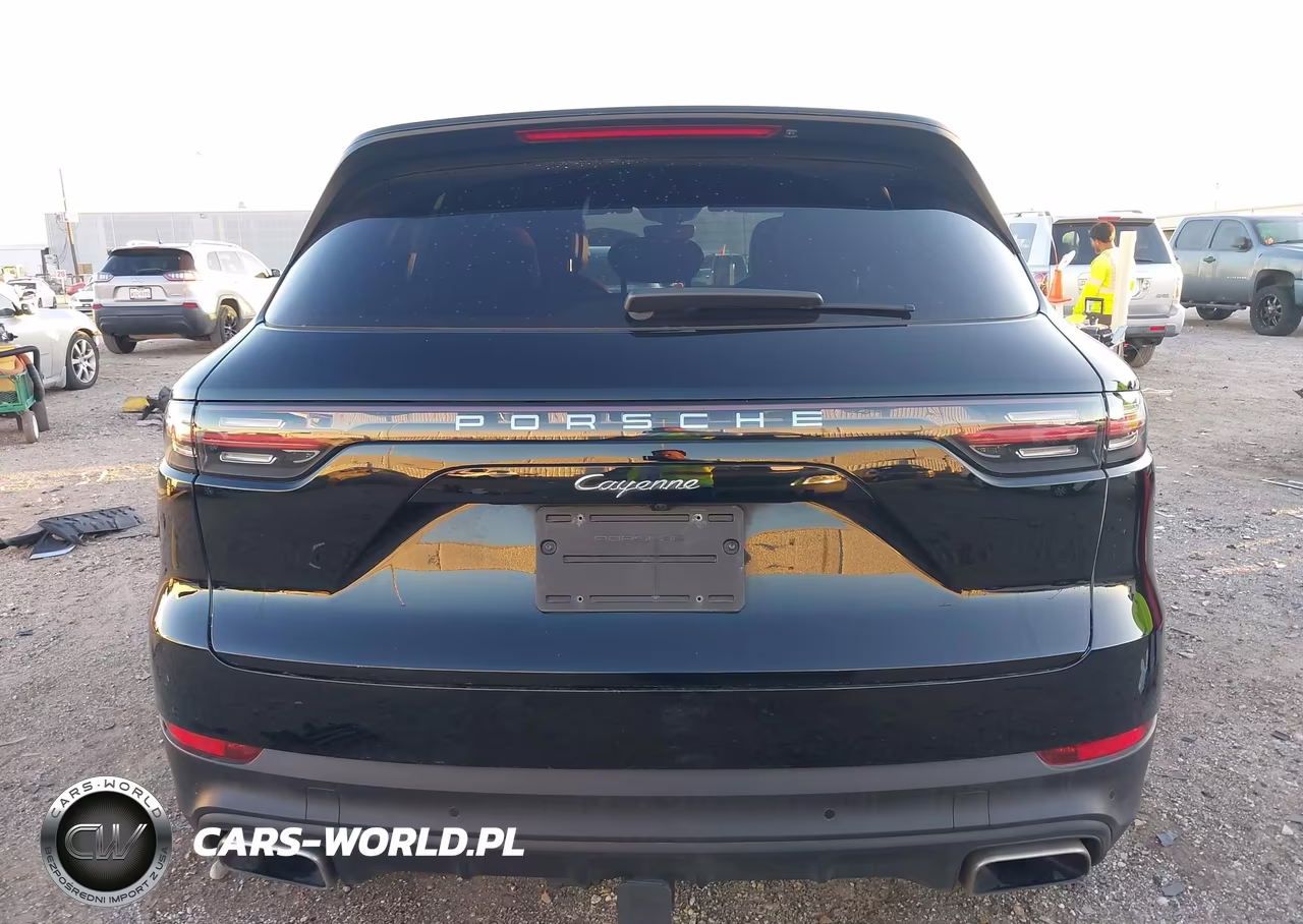 2020 Porsche Cayenne VIN:WP1AA2AY6LDA10495 - 17