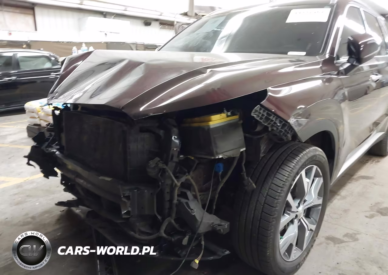 2021 Hyundai Palisade Sel VIN:KM8R44HEXMU174252 - 6