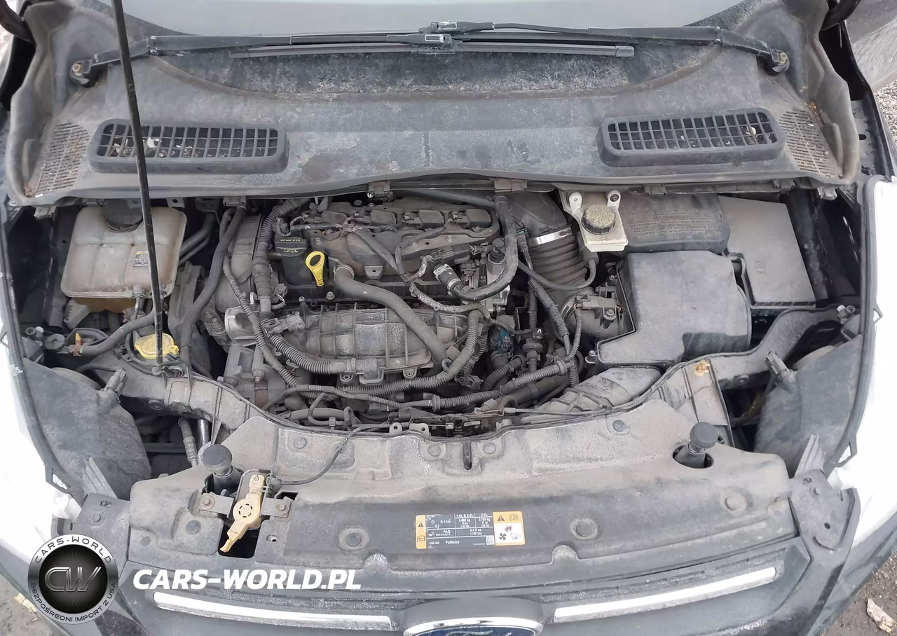 2013 Ford Escape Se VIN:1FMCU0GX1DUB22543 - 10