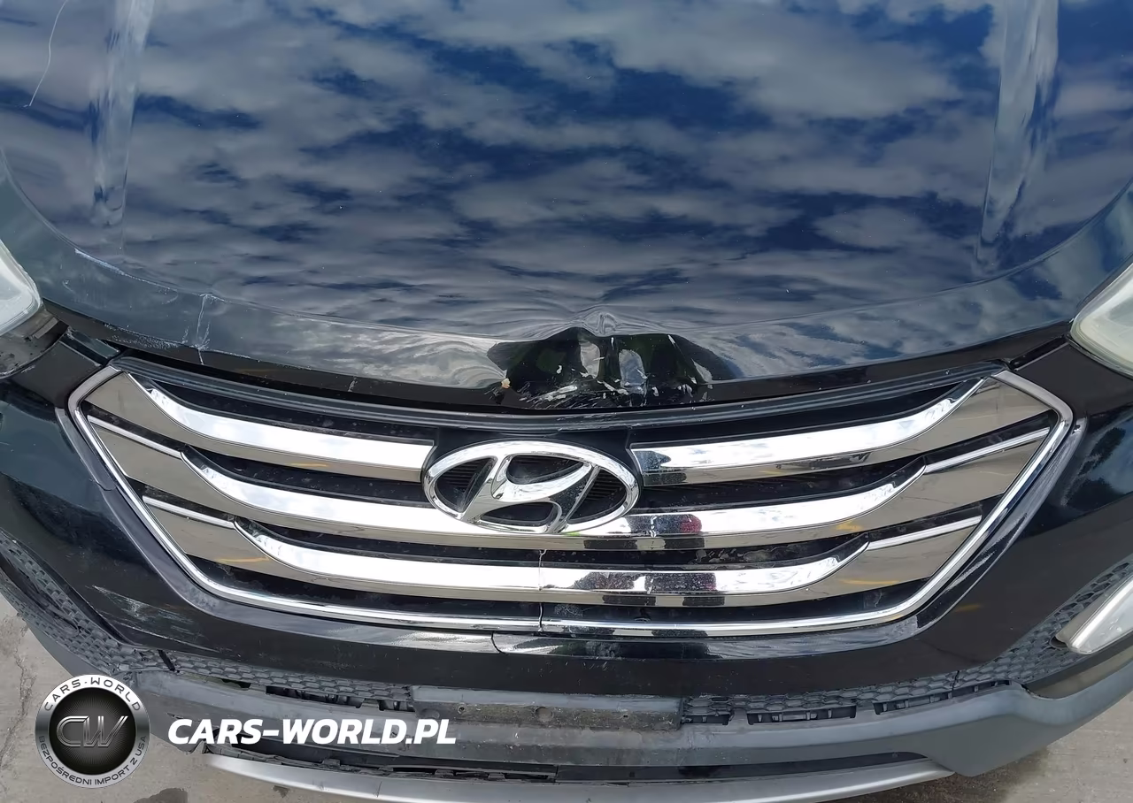 2013 Hyundai Santa Fe Sport VIN:5XYZUDLB6DG087600 - 6