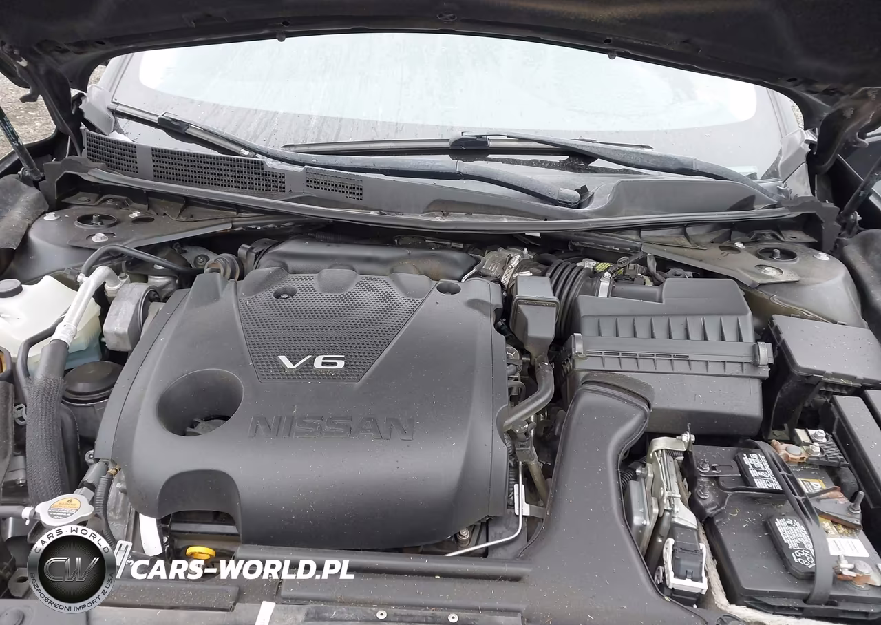 2017 Nissan Maxima 3.5 Sr VIN:1N4AA6AP5HC377939 - 10