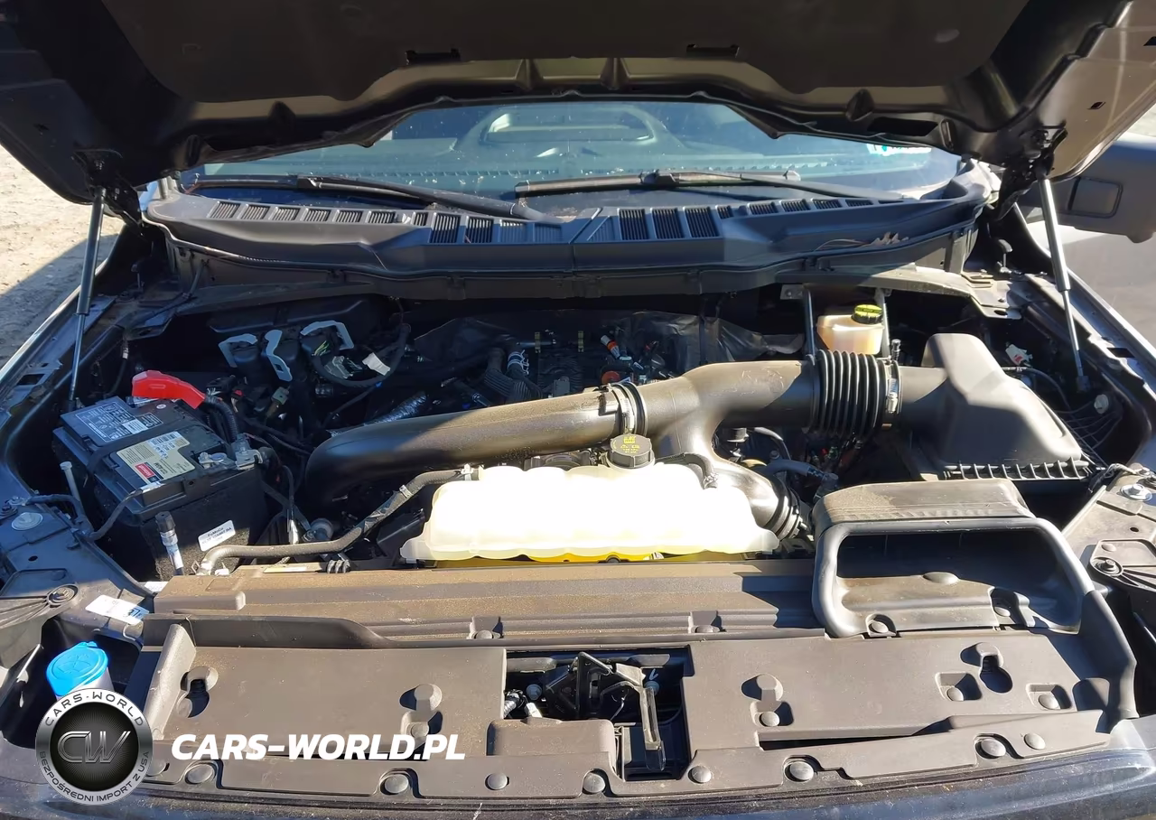 2024 Ford F-150 Xlt VIN:1FTFW3L8XRKE24816 - 10