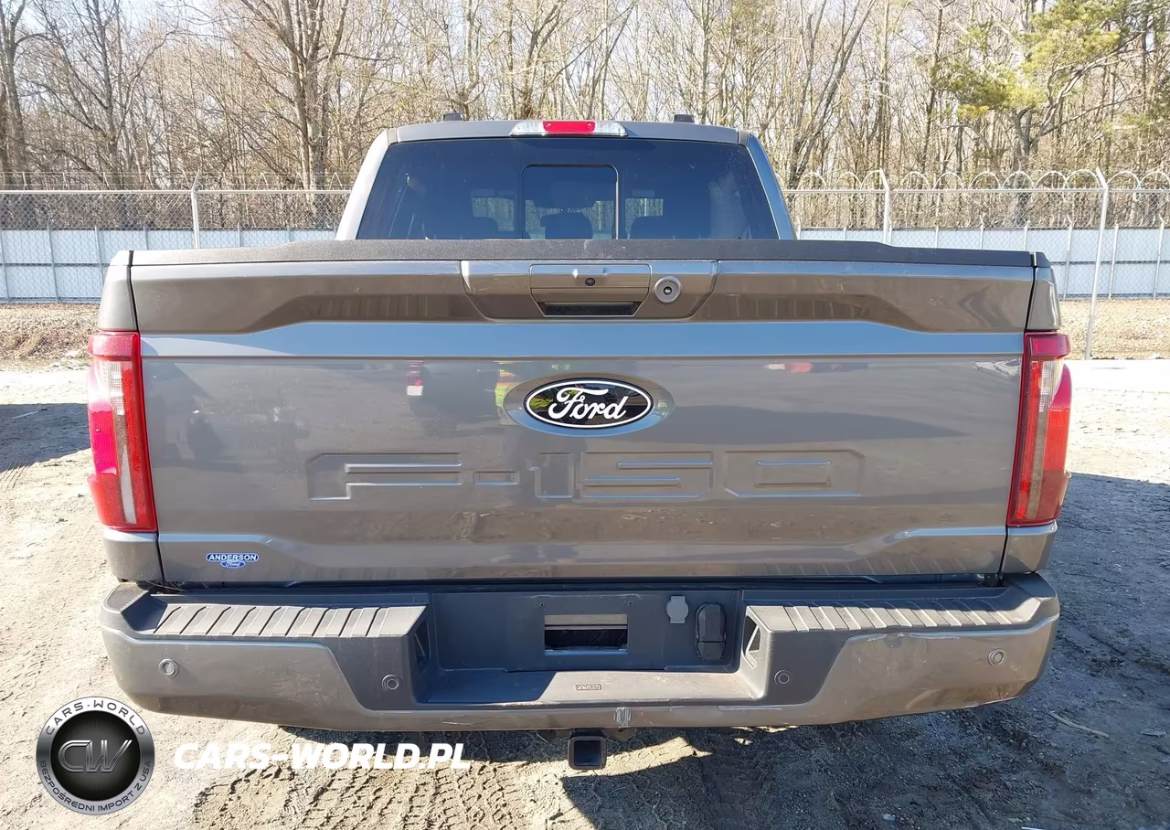 2024 Ford F-150 Xlt VIN:1FTFW3L8XRKE24816 - 16