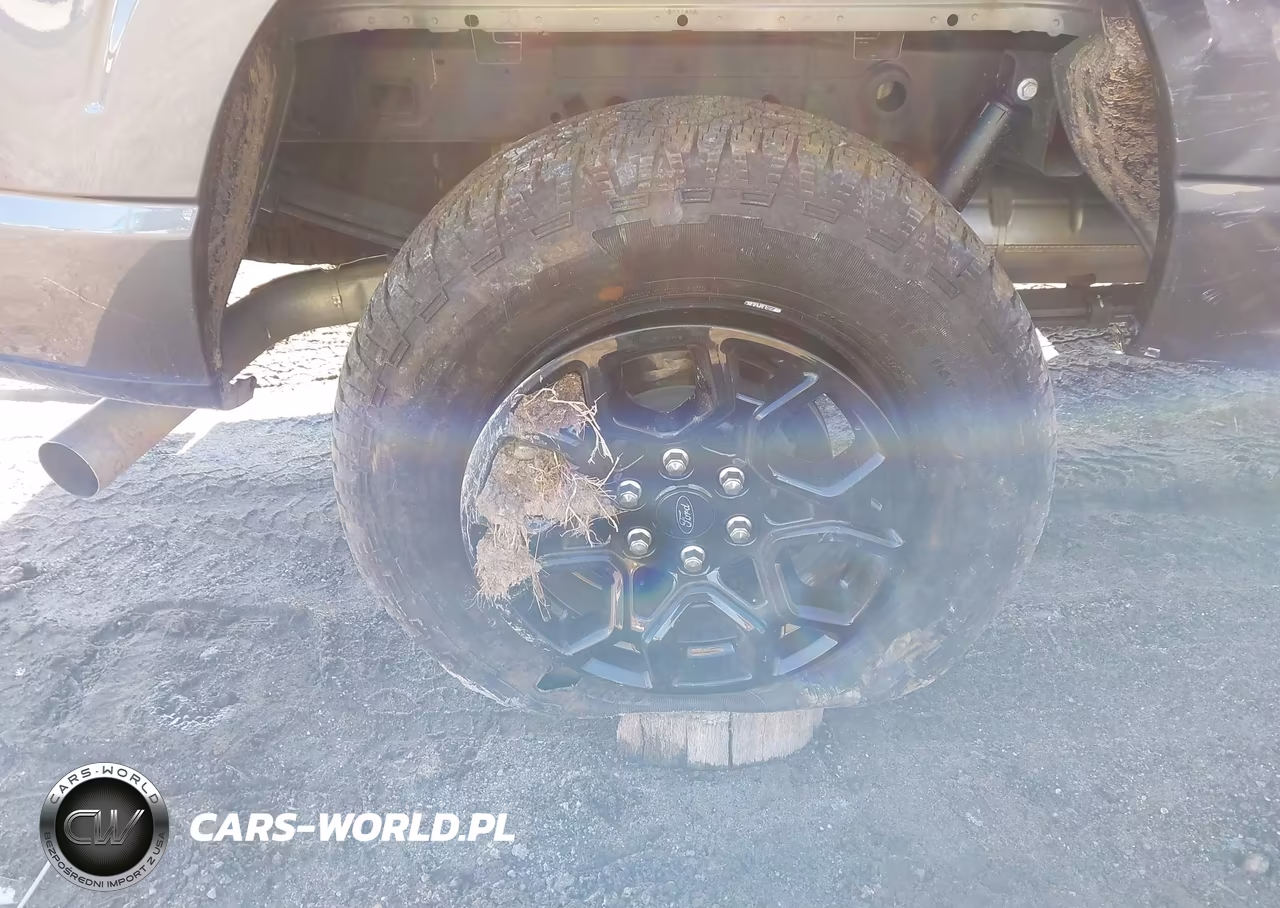 2024 Ford F-150 Xlt VIN:1FTFW3L8XRKE24816 - 19