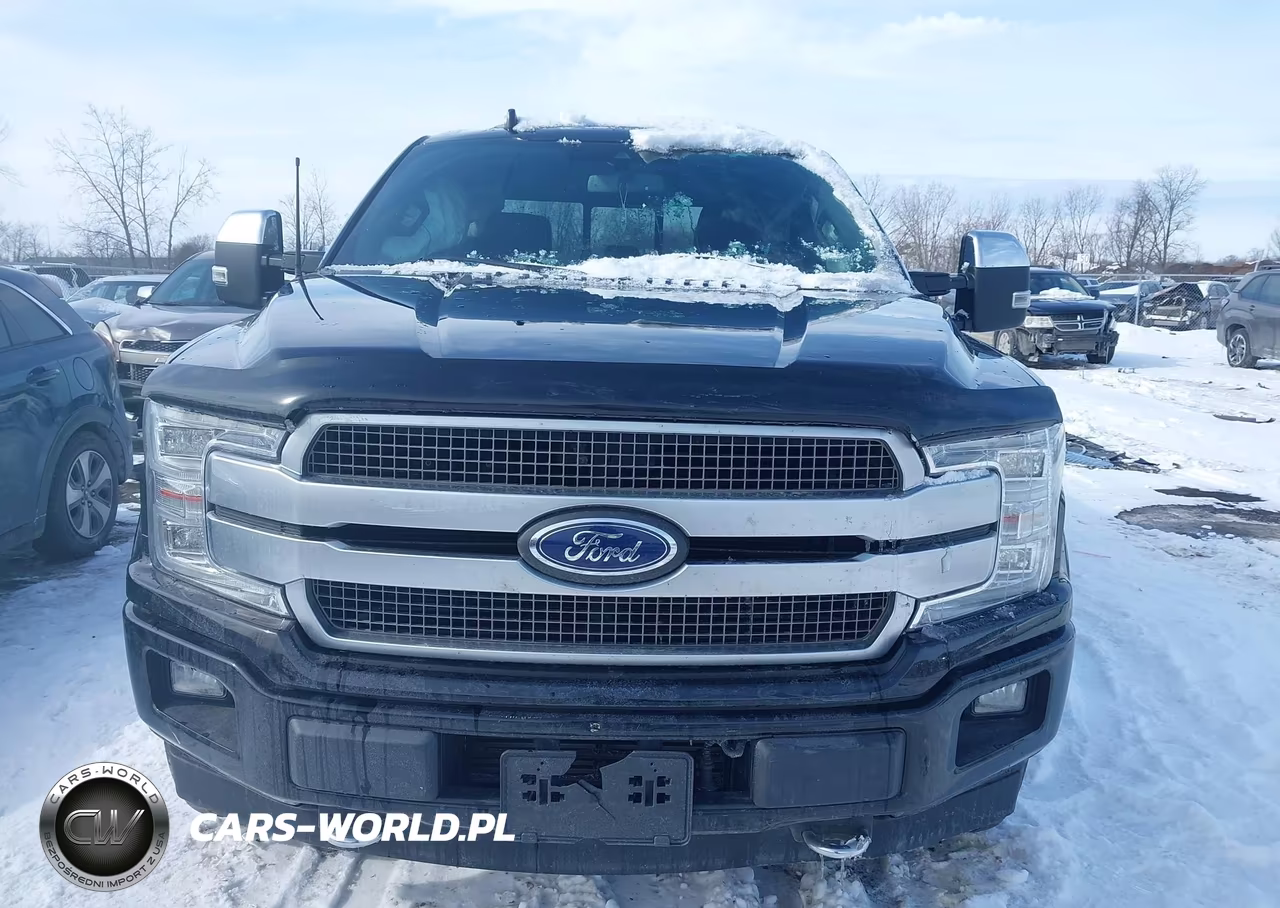 2018 Ford F-150 Platinum VIN:1FTEW1EG3JFD39947 - 11