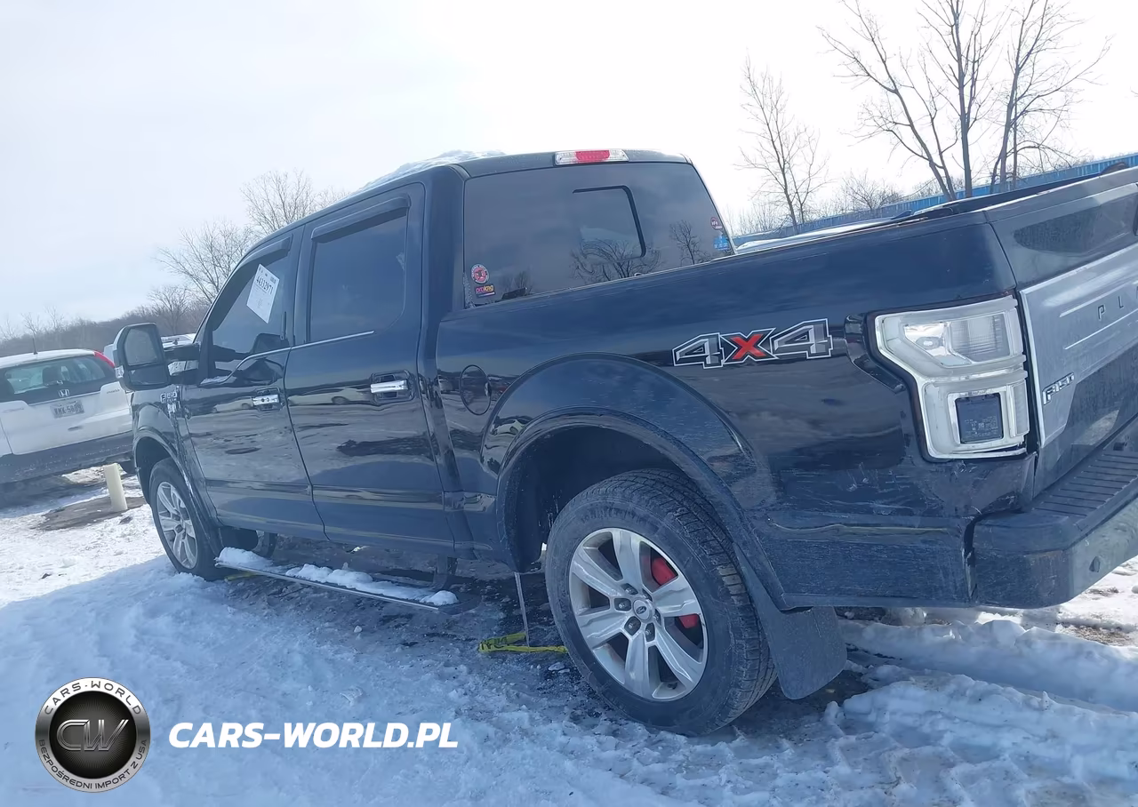 2018 Ford F-150 Platinum VIN:1FTEW1EG3JFD39947 - 13