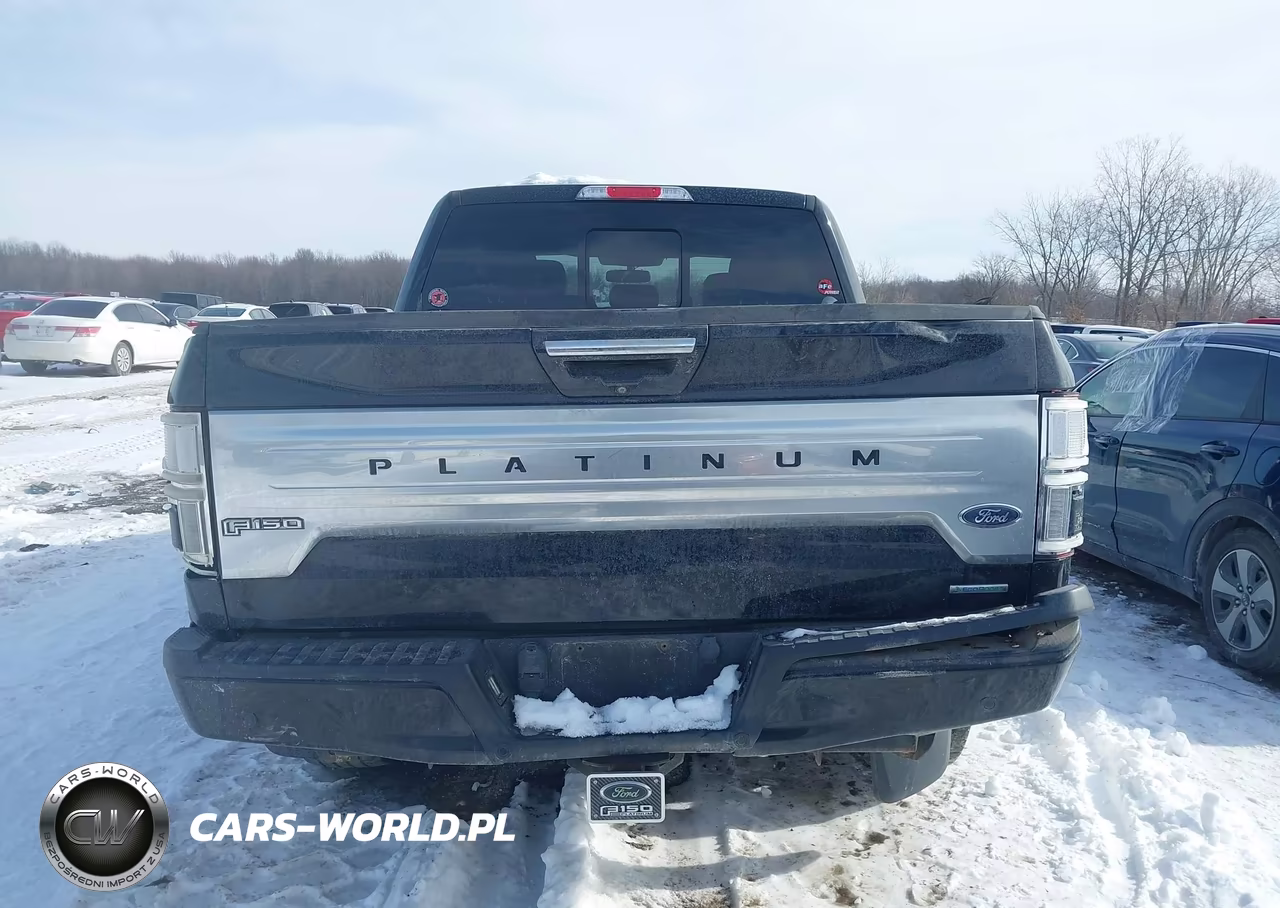 2018 Ford F-150 Platinum VIN:1FTEW1EG3JFD39947 - 15