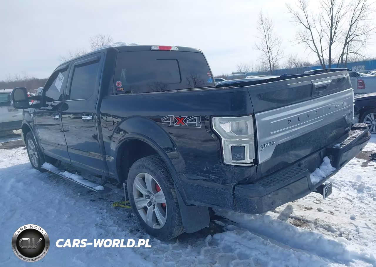 2018 Ford F-150 Platinum VIN:1FTEW1EG3JFD39947 - 3