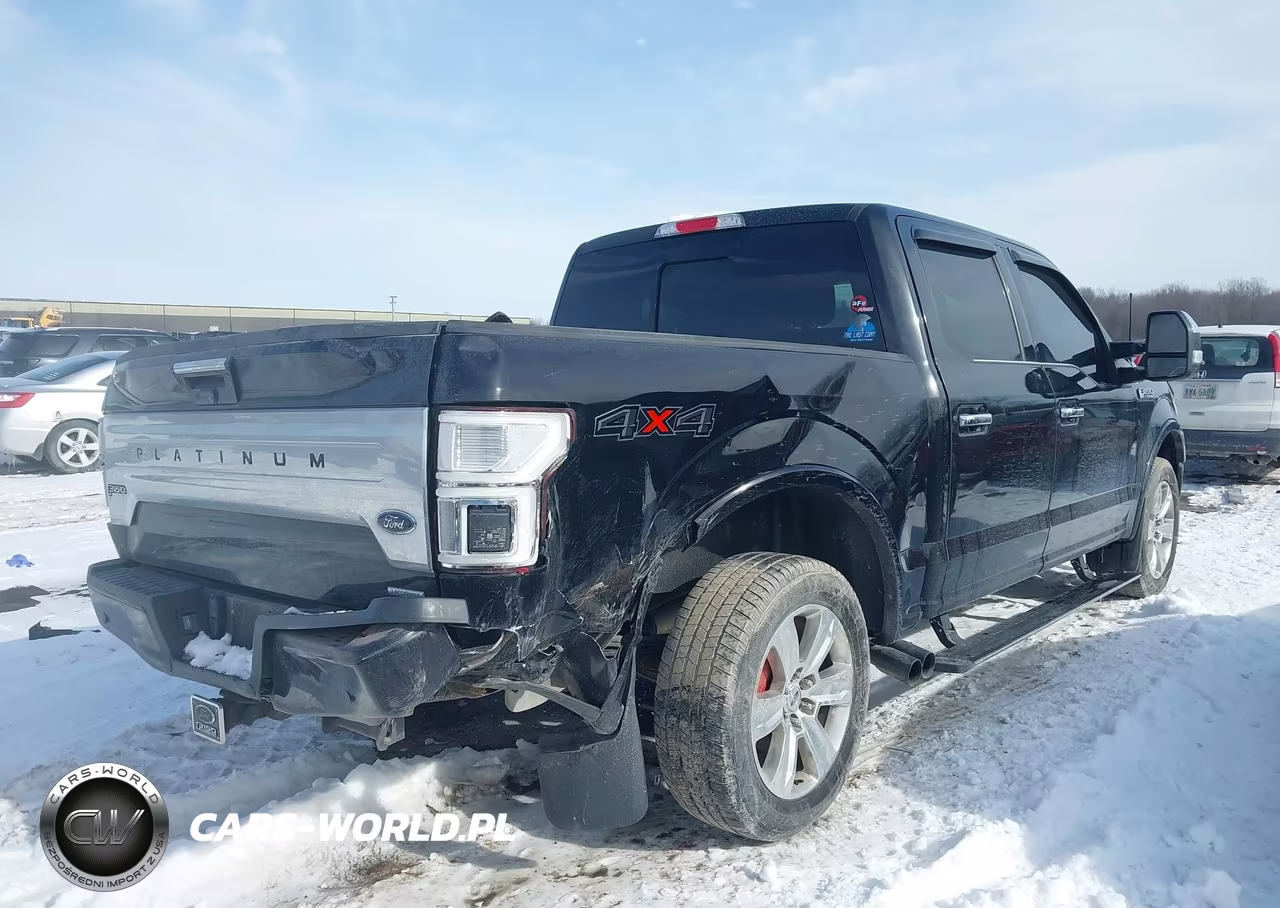 2018 Ford F-150 Platinum VIN:1FTEW1EG3JFD39947 - 4