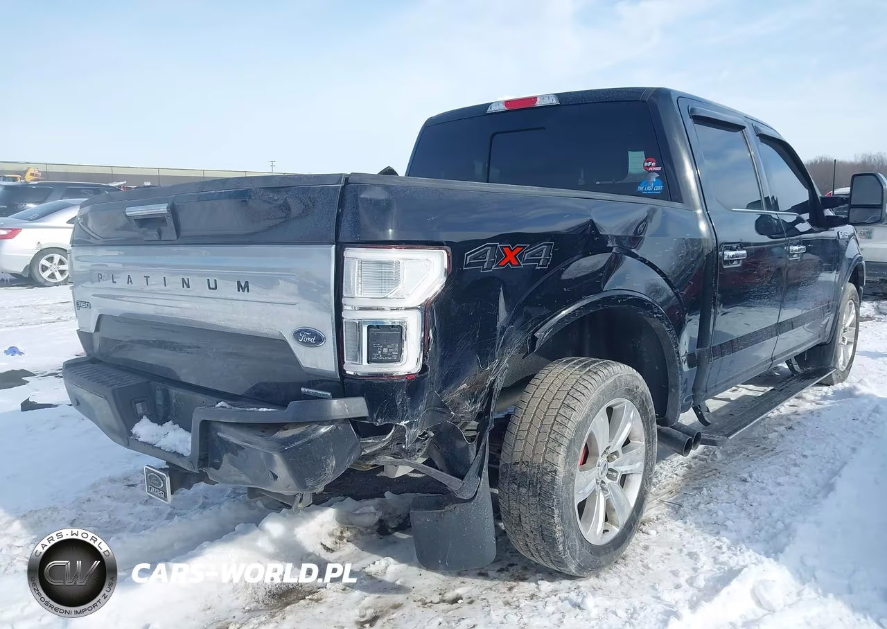 2018 Ford F-150 Platinum VIN:1FTEW1EG3JFD39947 - 6
