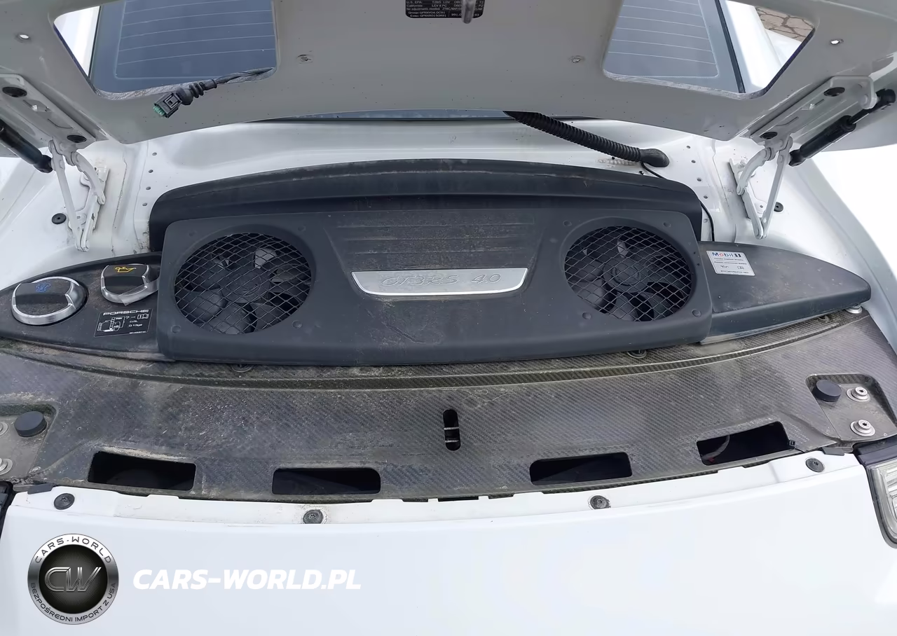 2016 Porsche 911 Gt3 Rs VIN:WP0AF2A91GS192393 - 10