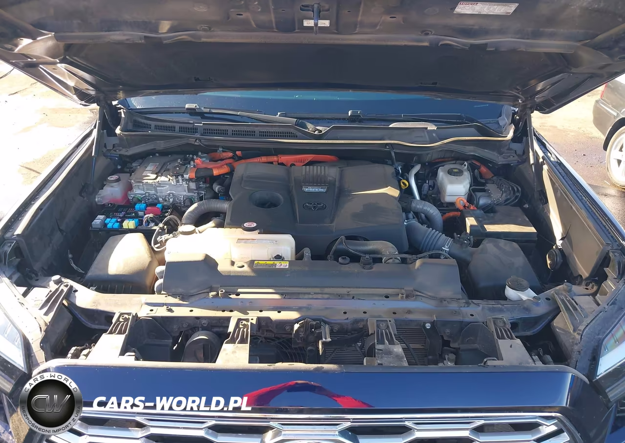 2024 Toyota Sequoia Capstone VIN:7SVAAABAXRX024670 - 10