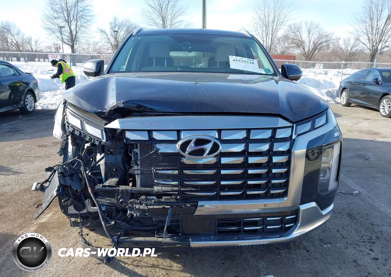 2024 Hyundai Palisade Calligraphy VIN:KM8R7DGEXRU650001 - 12