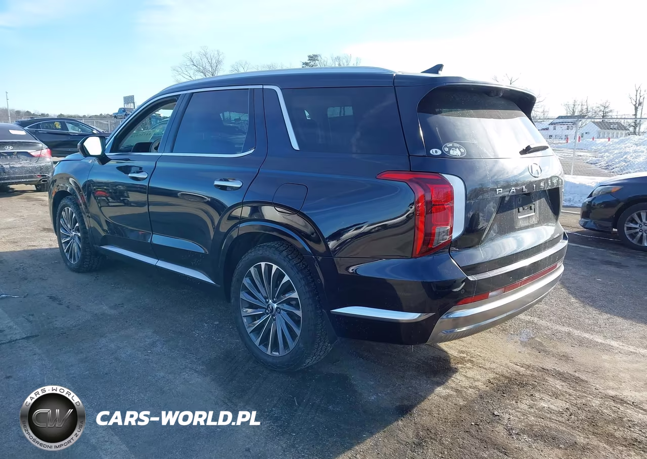 2024 Hyundai Palisade Calligraphy VIN:KM8R7DGEXRU650001 - 3