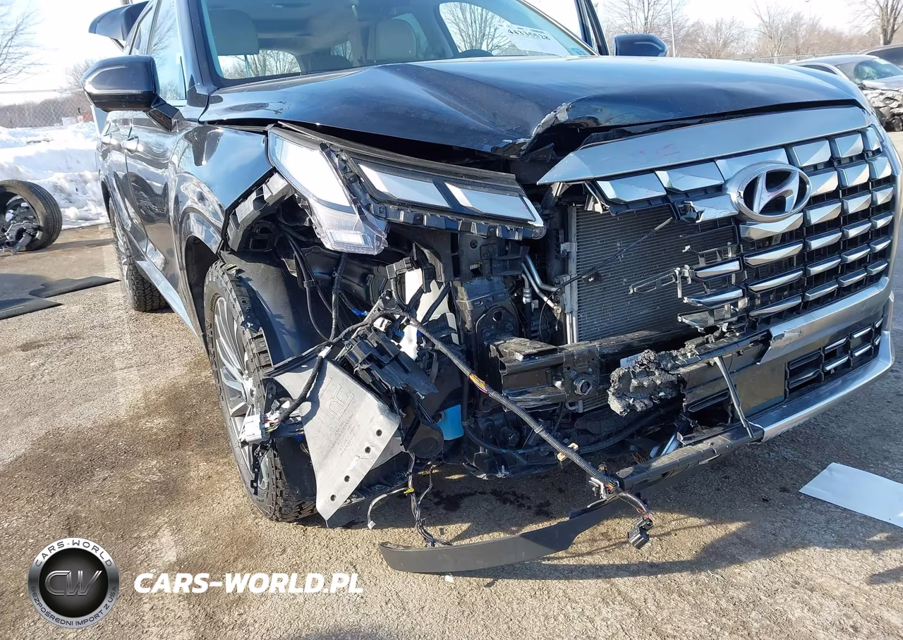 2024 Hyundai Palisade Calligraphy VIN:KM8R7DGEXRU650001 - 6