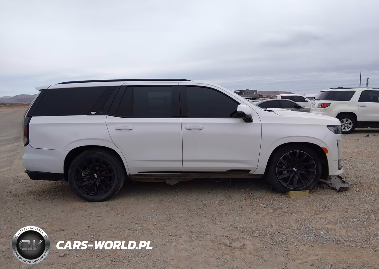 2023 Cadillac Escalade 4Wd Sport VIN:1GYS4FKL1PR561928 - 12