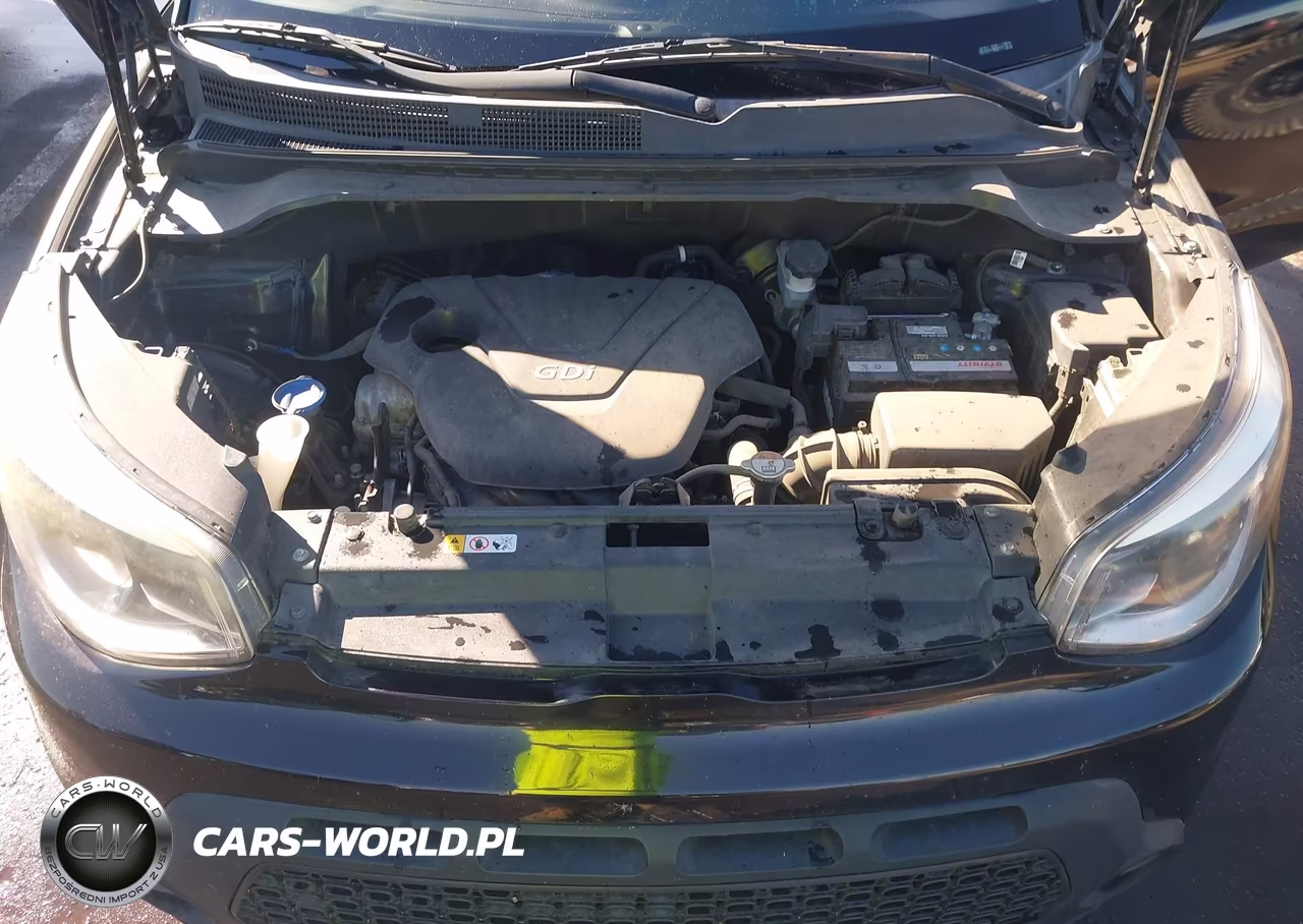 2016 Kia Soul VIN:KNDJN2A28G7318256 - 10
