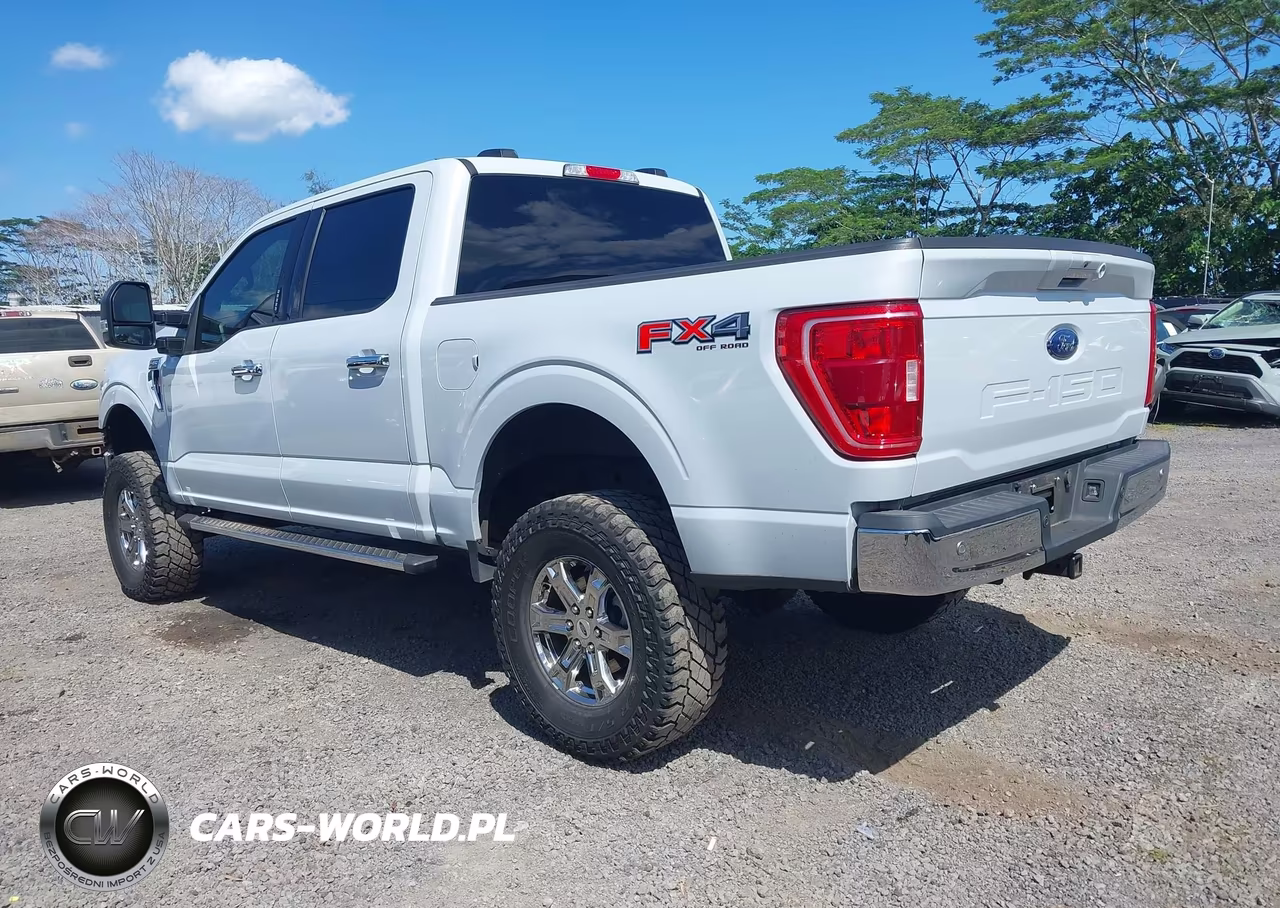 2021 Ford F-150 Xlt VIN:1FTFW1E58MKD41692 - 3