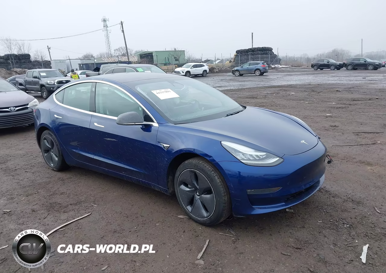 2019 Tesla Model 3